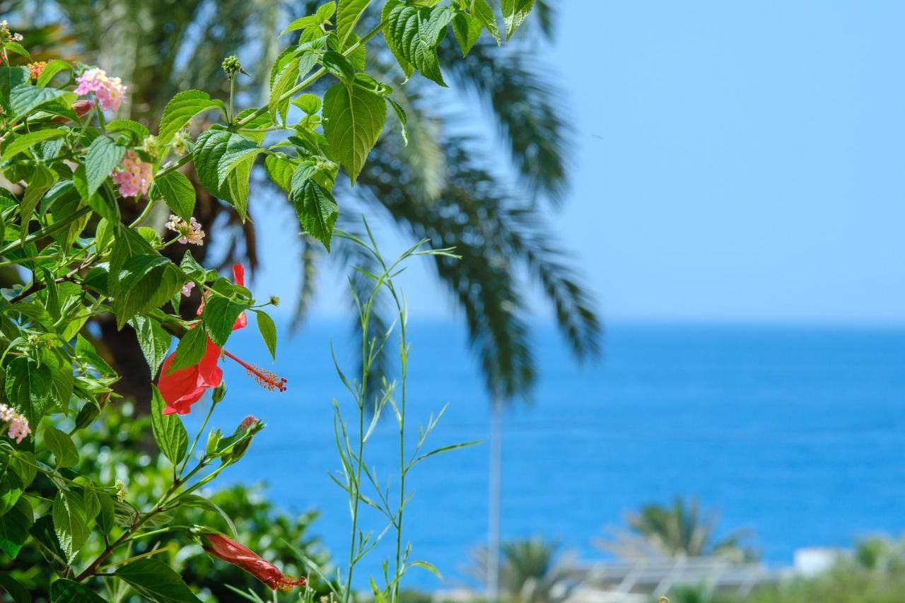 Beautiful Torreoceano 92, Pool, Beach Access La Cala De Mijas Exterior photo